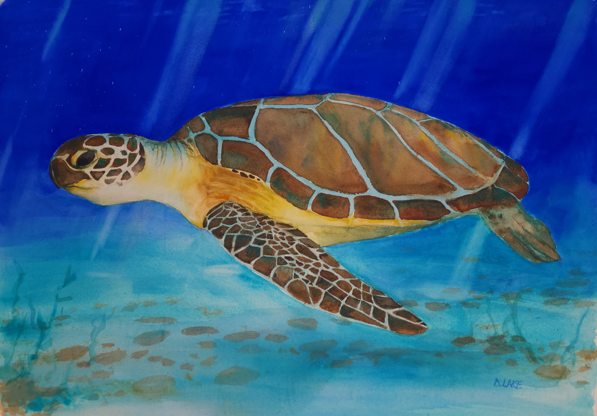 Sea Turtle Patrol HHI Event Postcard